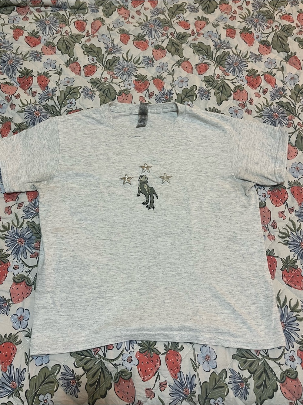 EPIC DINOSAUR Graphic Tee with Star and Dinosaur Patches